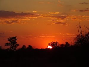 DSC03863
