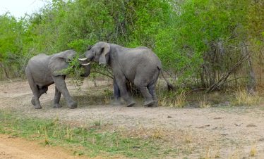 21 DAYS: Zambia/Malawi